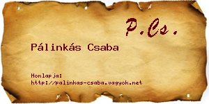 Pálinkás Csaba névjegykártya